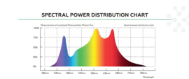 LED Lights Bloom Light 240W