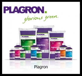 Plagron