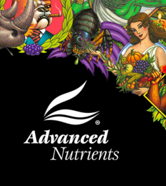 Advanced Nutrients pH Perfect  Sensi Grow A en B 1 liter