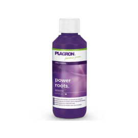 Plagron Universal Power Roots 100 ml