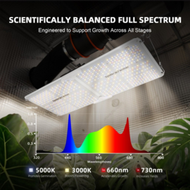 Spider Farmer SF2000 - 200W LED kweeklamp – 2026 model