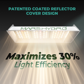 Mars Hydro complete kweektent 60x60x140cm TS600 + SC