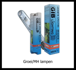 Groei / MH lampen