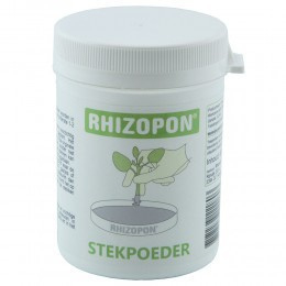 Rhizopon chryzotop groen Stekpoeder 80gram 0,25%