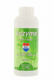 Enzyme 1L