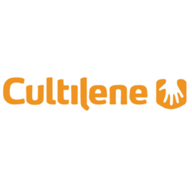 Cultilene Big Blocks 15x15x13,5 cm Per 10 stuks