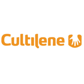 Cultilene Big Blocks 15x15x13,5 cm Per Stuk