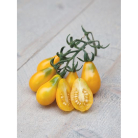 Horti Tops Tomaten Yellow Pearshaped