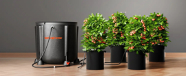 Spider Farmer Water geef system 4 Pot Kit