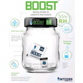 INTEGRA BOOST 62% 8 gram