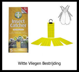 Witte Vliegen Bestrijding