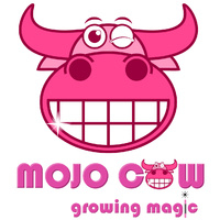 Digitale programmeerbare water timer Mojo COW