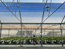 Terra Aquatica GrowStream 10 V2