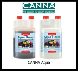 Canna Aqua