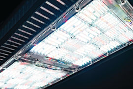 Telos LED-kweeklampen PWS1 Spectrum uitleg.