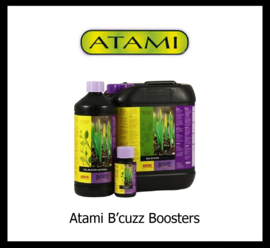 ATAMI B'cuzZ Boosters