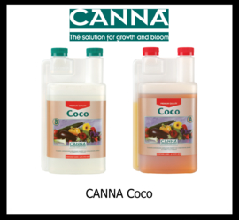 Canna Coco