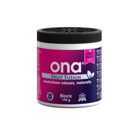 ONA Block Fruit Fusion 170 gram