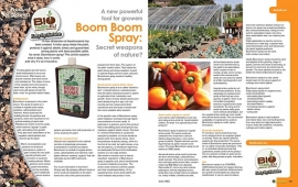 BioTabs Boom Boom Spray 100ML