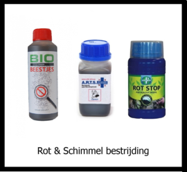 Rot en Schimmel Bestrijding