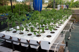Terra Aquatica TriPart Grow 5 liter