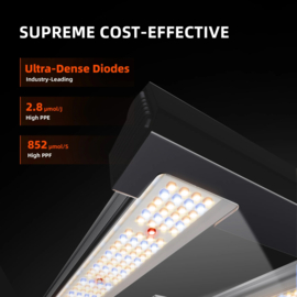 Spider Farmer 2024 Kit G3000 EVO Samsung LED 90x90x180 + SC