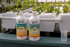 Terra Aquatica pH - 1 liter