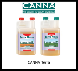 Canna Terra