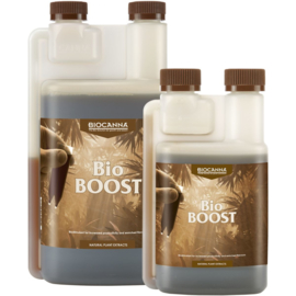 BIOCANNA Bio BOOST 1 liter