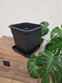 Planten schotel 25cm voor kweekpot tot 14 Liter