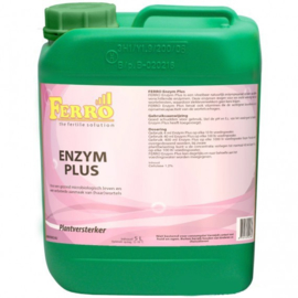 Ferro Enzym+ 5 Liter