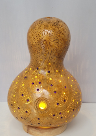 kalebaslamp "tentakels"
