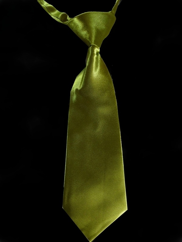 Olijf groene kinder stropdas