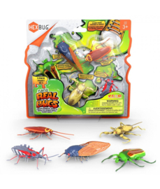 Hexbug, Real Bugs, 5 pack