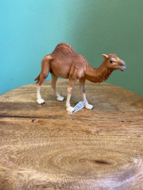 Schleich dromedaris 14832