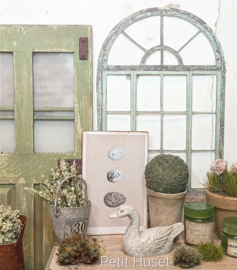 Botanische Prent Vogel Eieren