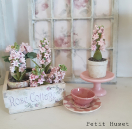 Roze Taart Plateau