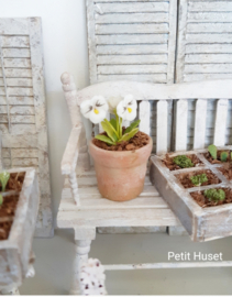 Oude Bloempot met Viooltjes