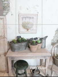 Brocante Teil met Zaailingen