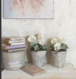 Handgemaakte Geranium in Pot