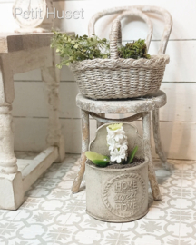 Landelijke Plantenbak met Hyacint
