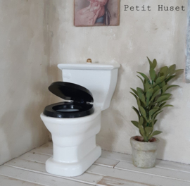 Antiek Look Toilet
