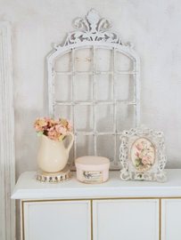Hortensia,s in Kan " Free Style"