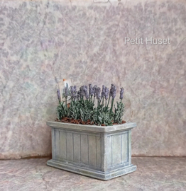"Zinken" Plantebak met Lavendel