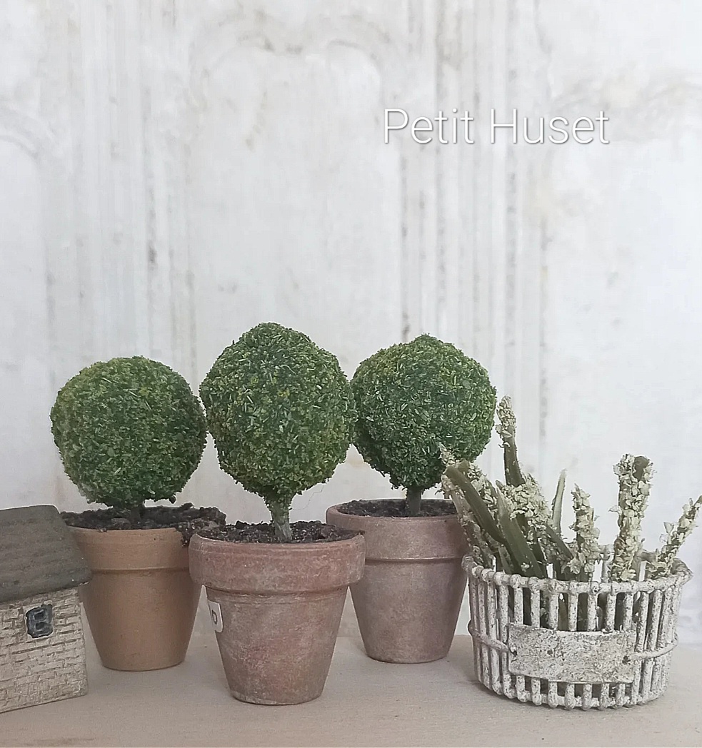 Klein Buxus Bolletje op Stam in Pot