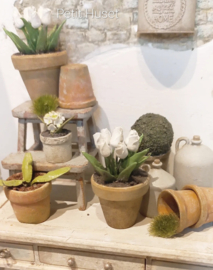 Oude Bloempot met Witte Tulpen
