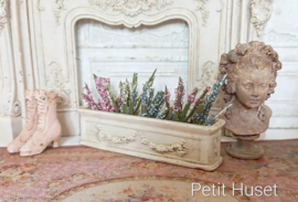 Oude Franse Plantenbak