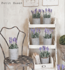 "Zinken" Pot met Lavendel