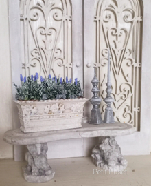 Oude Franse Jardiniere met Lavendel