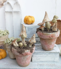 Pot met Paddestoelen